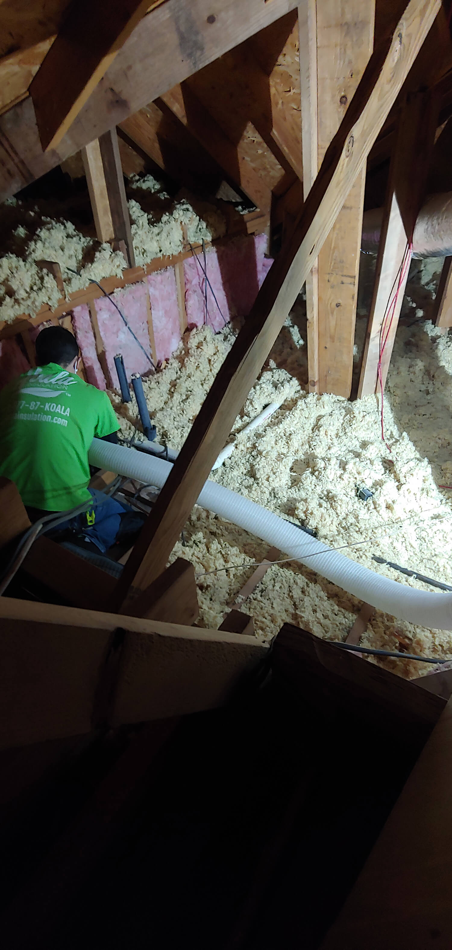 BELLEVUE attic insulation removal