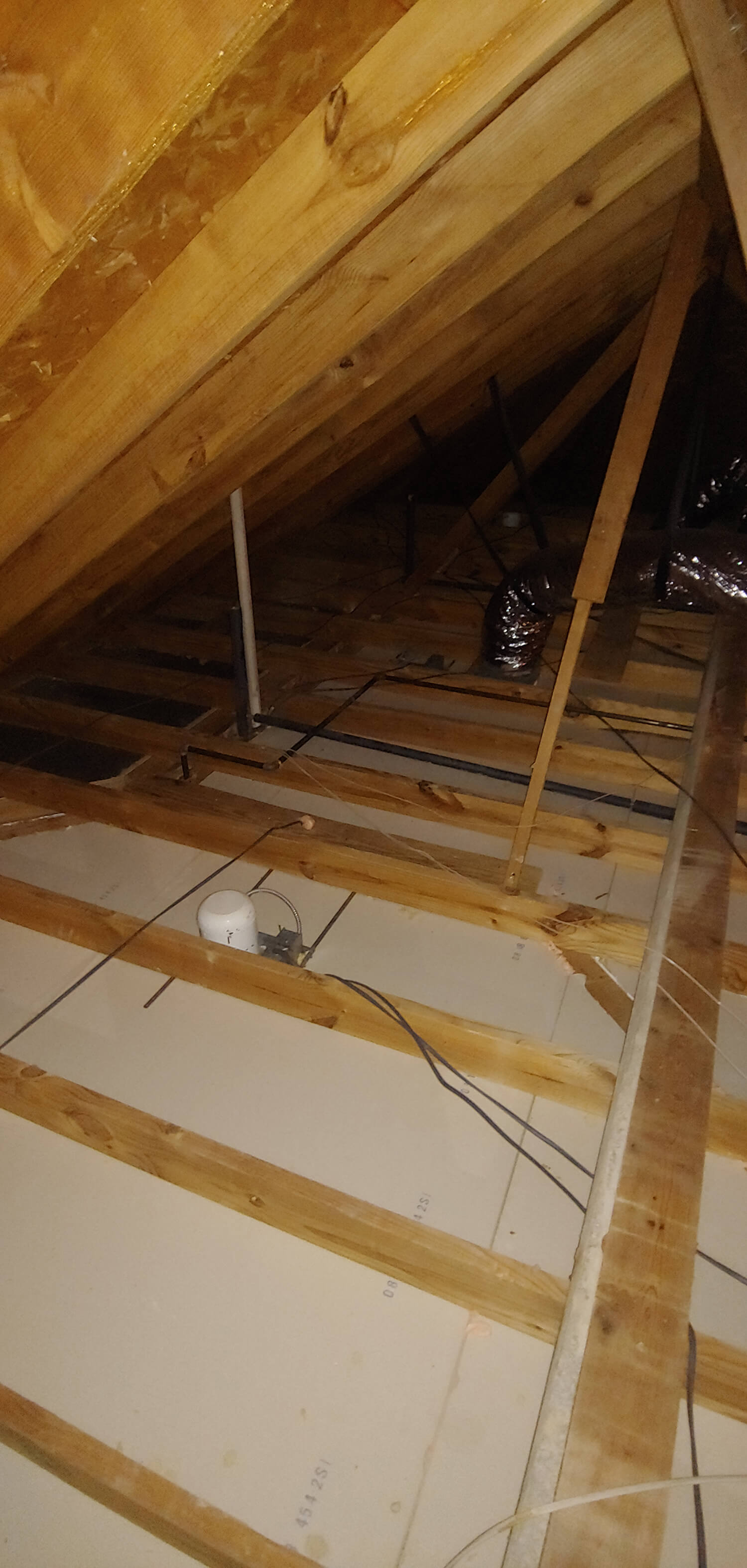 insulation removal Festus